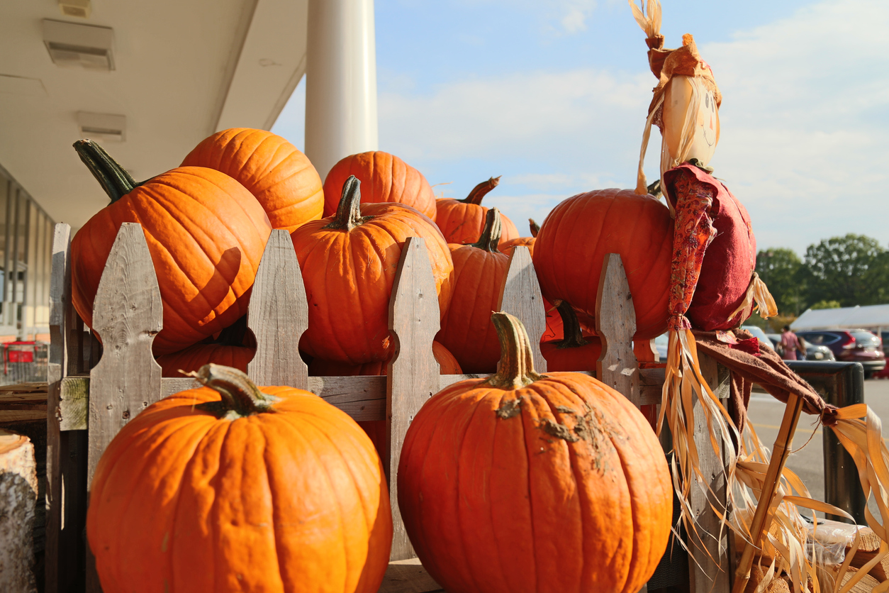 1 And 2 Bedroom Apartments For Rent In Denton TX PUMPKINS ON THE PLAZA